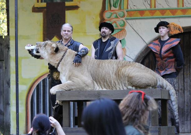 Liger Hercules travels to Massachusetts for a participation at King Richards Faire Event.